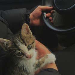 Avis location voiture Maroc service